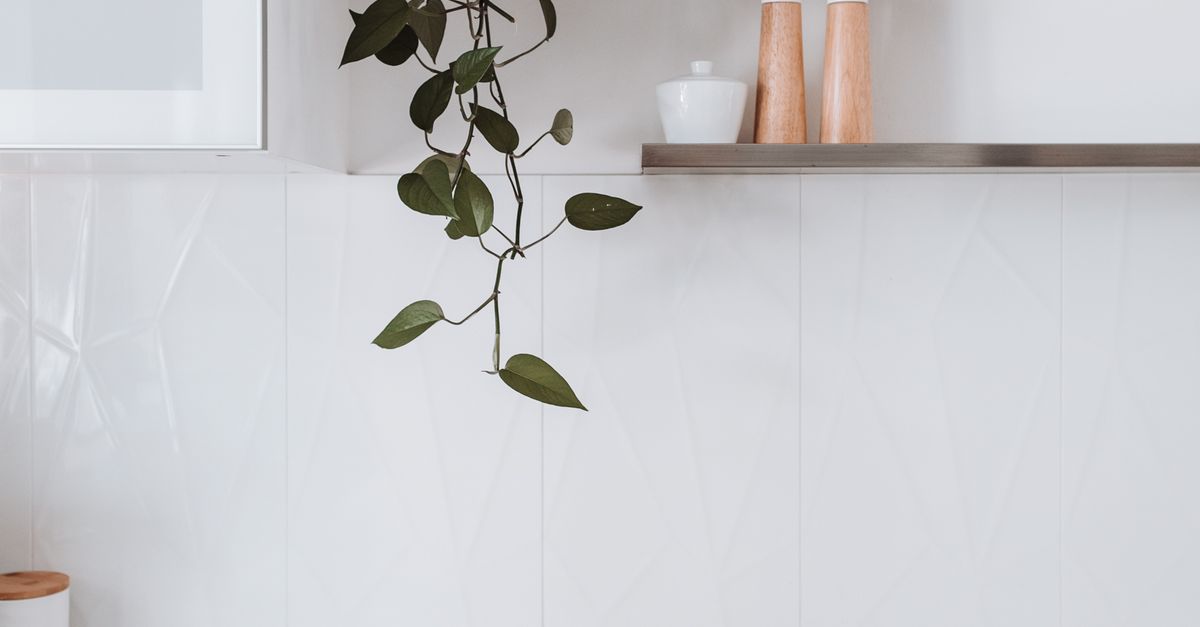 Types of Timber Suitable for Kitchen Benchtops in Geelong